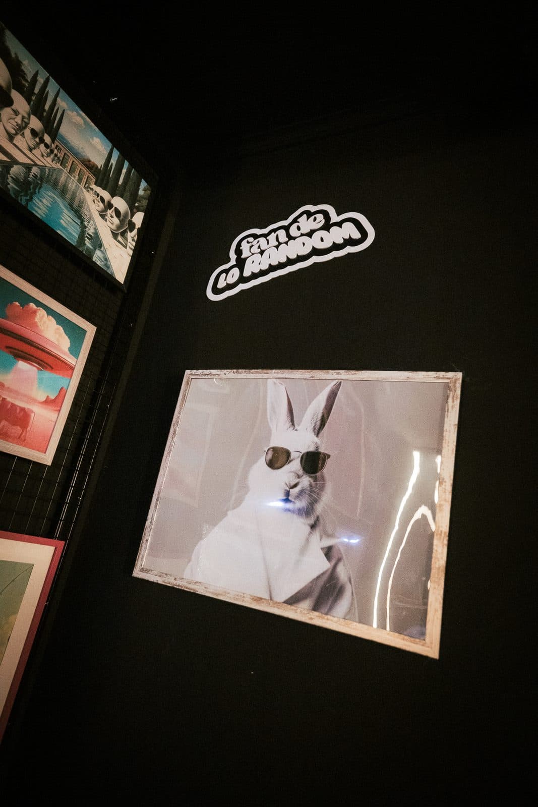 El neón «fan de lo random» sobre la foto de un conejo con gafas de sol